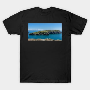 Ynys Bery off the Welsh coast, Pembrokeshire T-Shirt